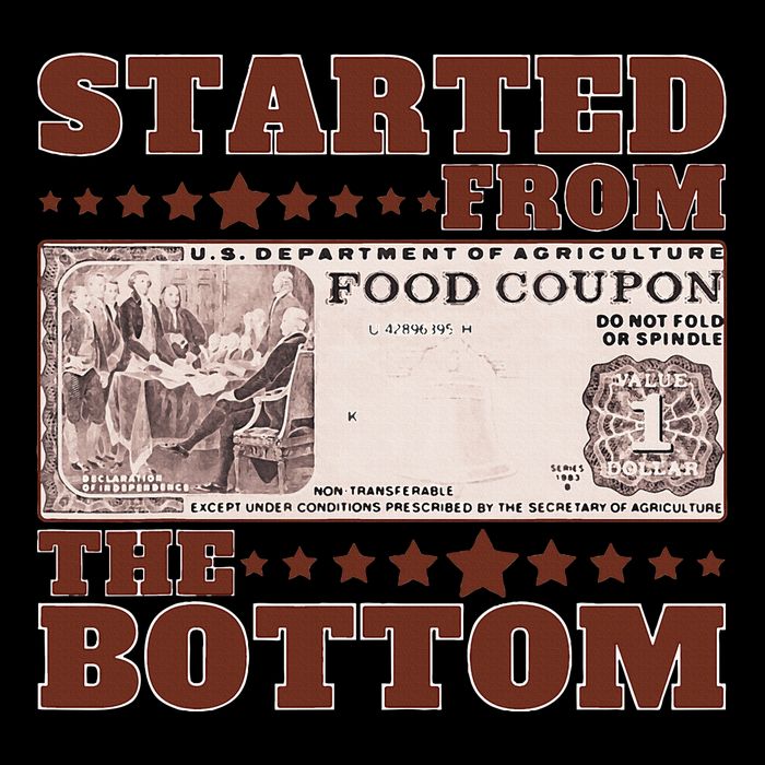 Started From Bottom Food Stamp Coupon stars 2 City Backpack