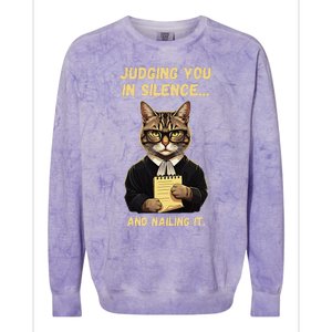 Sarcastic Funny Cat Judging You In Silence And Nailing It Colorblast Crewneck Sweatshirt