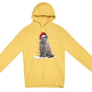 Scottish Fold Cat Funny Christmas Lights Xmas Kitten Gift Premium Pullover Hoodie