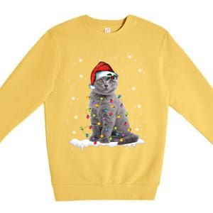 Scottish Fold Cat Funny Christmas Lights Xmas Kitten Gift Premium Crewneck Sweatshirt