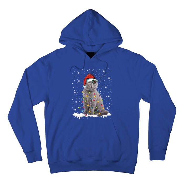 Scottish Fold Cat Funny Christmas Lights Xmas Kitten Gift Hoodie