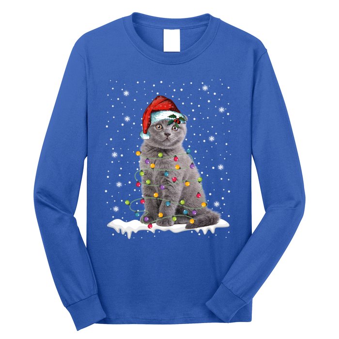 Scottish Fold Cat Funny Christmas Lights Xmas Kitten Gift Long Sleeve Shirt