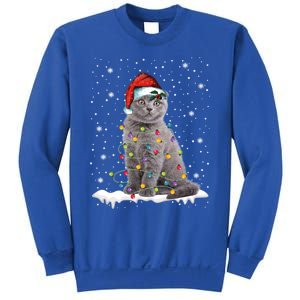 Scottish Fold Cat Funny Christmas Lights Xmas Kitten Gift Sweatshirt