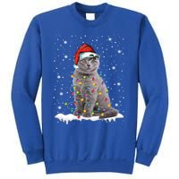 Scottish Fold Cat Funny Christmas Lights Xmas Kitten Gift Sweatshirt