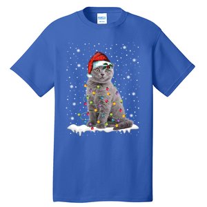 Scottish Fold Cat Funny Christmas Lights Xmas Kitten Gift Tall T-Shirt