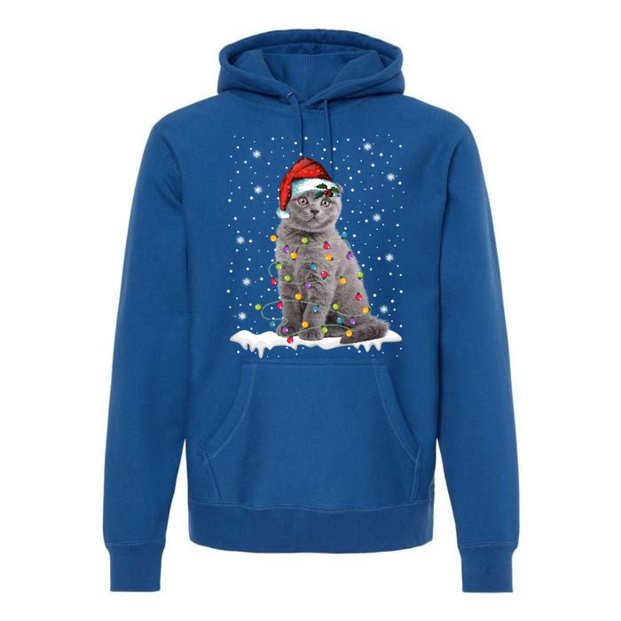 Scottish Fold Cat Funny Christmas Lights Xmas Kitten Gift Premium Hoodie