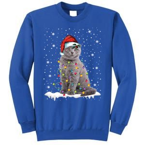 Scottish Fold Cat Funny Christmas Lights Xmas Kitten Gift Tall Sweatshirt