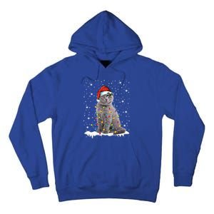 Scottish Fold Cat Funny Christmas Lights Xmas Kitten Gift Tall Hoodie