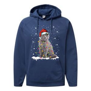 Scottish Fold Cat Funny Christmas Lights Xmas Kitten Gift Performance Fleece Hoodie