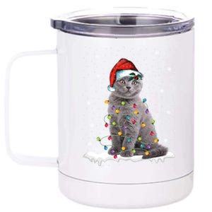 Scottish Fold Cat Funny Christmas Lights Xmas Kitten Gift 12 oz Stainless Steel Tumbler Cup