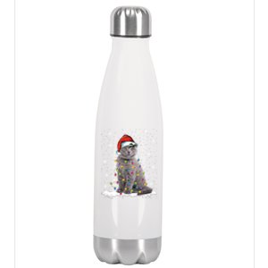 Scottish Fold Cat Funny Christmas Lights Xmas Kitten Gift Stainless Steel Insulated Water Bottle