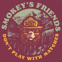 Smokeys Friends Dont Play With Matches 16oz Travel Tumbler