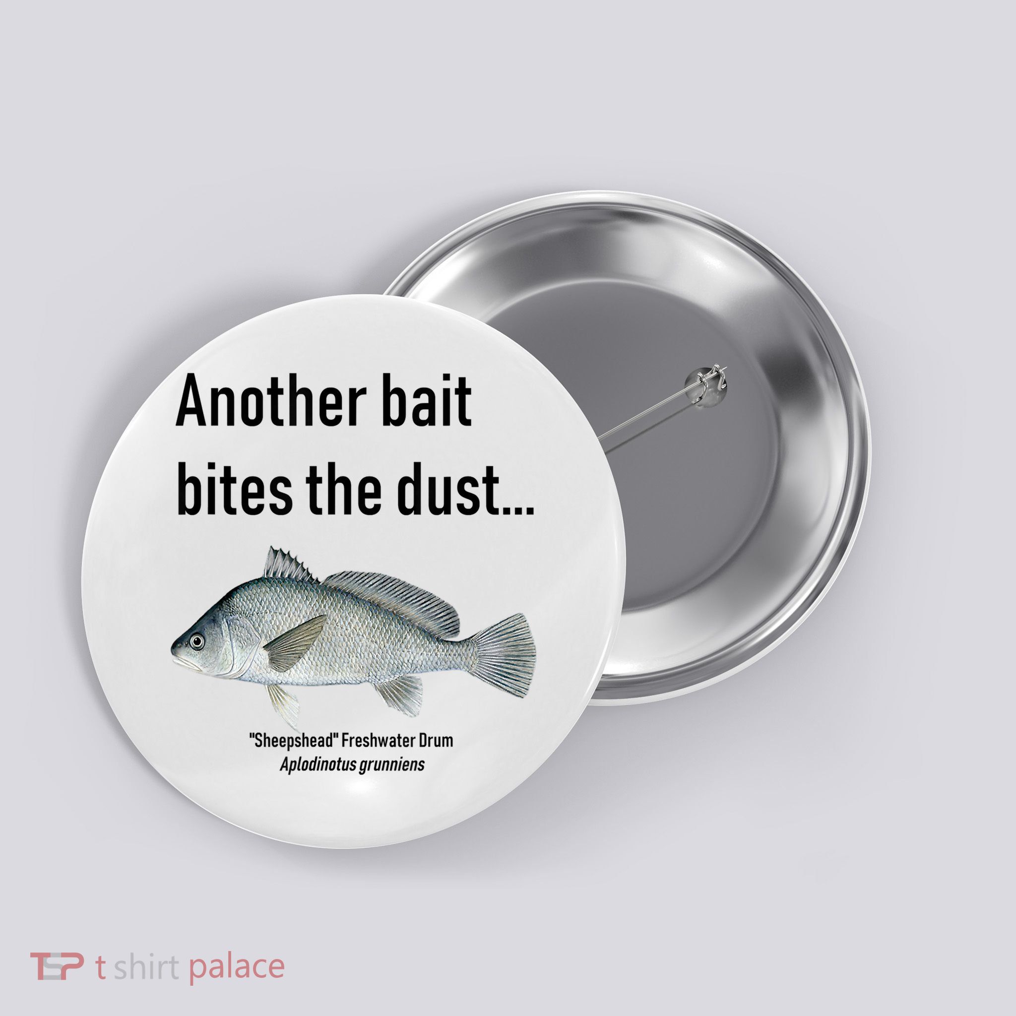 Sheepshead Freshwater Drum Button