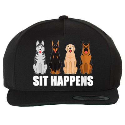 S Funny Dog Training Art For Dog Lover Puppy Pet V Neck Wool Snapback Cap