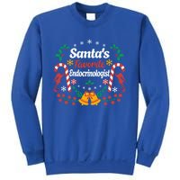 SantaS Favorite Endocrinologists Christmas Hormone Doctor Swea Sweatshirt