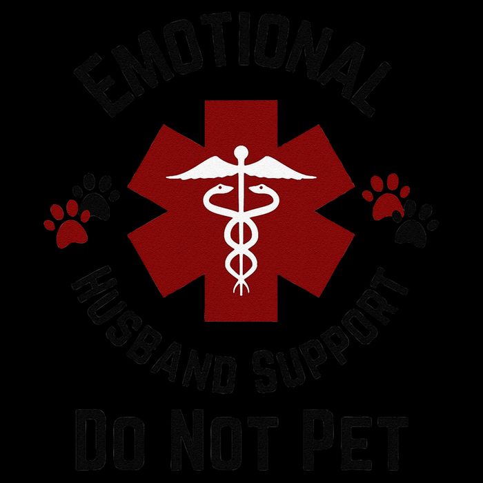 Sarcastic Funny Emotional Husband Support Do Not Pet Funny 7-Panel Snapback Hat