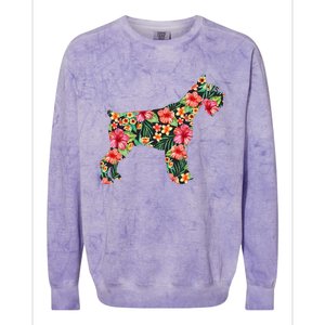 Schnauzer Flower Funny Dog Silhouette Floral Gifts Women Colorblast Crewneck Sweatshirt