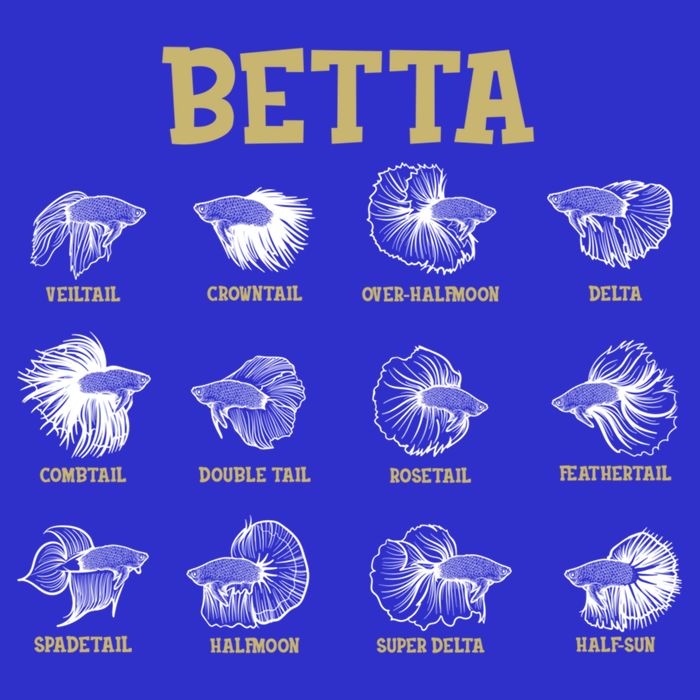 Siamese Fighting Fish Lover Aquarium Keeper Betta Fish Cute Gift Womens T-Shirt