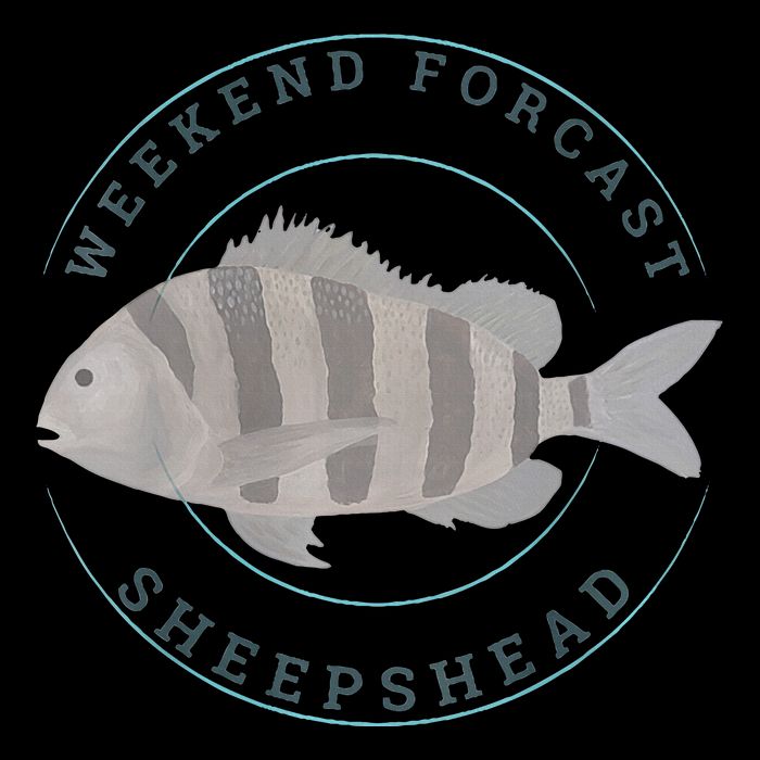 Sheepshead Fishing Fisherman Design Mesh Reversible Basketball Jersey Tank
