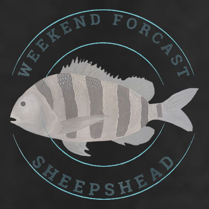 Sheepshead Fishing Fisherman Design Golf Towel