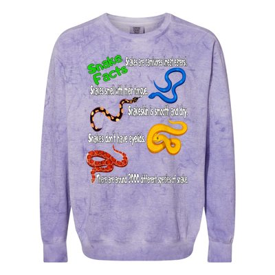 Snake Facts & Funny Boy Girl Toddlers Snake Lover Colorblast Crewneck Sweatshirt