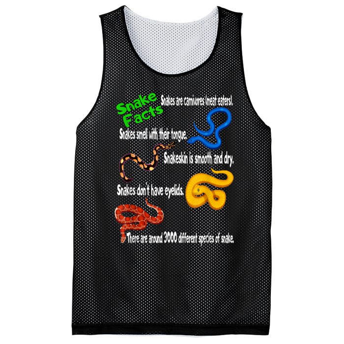 Snake Facts & Funny Boy Girl Toddlers Snake Lover Mesh Reversible Basketball Jersey Tank