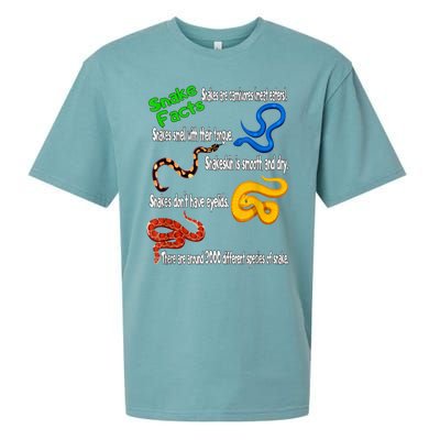 Snake Facts & Funny Boy Girl Toddlers Snake Lover Sueded Cloud Jersey T-Shirt