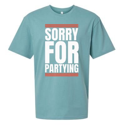 Sorry Funny For Partying Present Birthday Festival Sueded Cloud Jersey T-Shirt