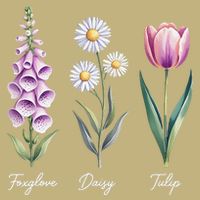 Subtle Floral Flowers Foxglove Daisy Tulip Button