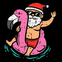 Santa Flamingo Floatie Funny Christmas In July Summer Xmas Cropped Pullover Crew