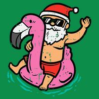 Santa Flamingo Floatie Funny Christmas In July Summer Xmas Magnet