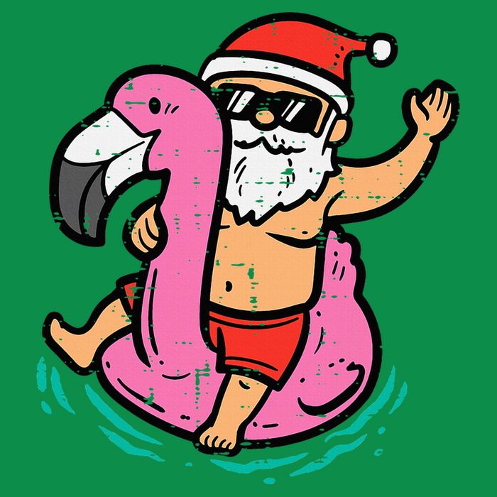 Santa Flamingo Floatie Funny Christmas In July Summer Xmas Magnet