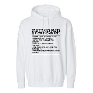 Sagittarius Facts Gift Funny Sagittarius Birthday Zodiac Funny Gift Garment-Dyed Fleece Hoodie