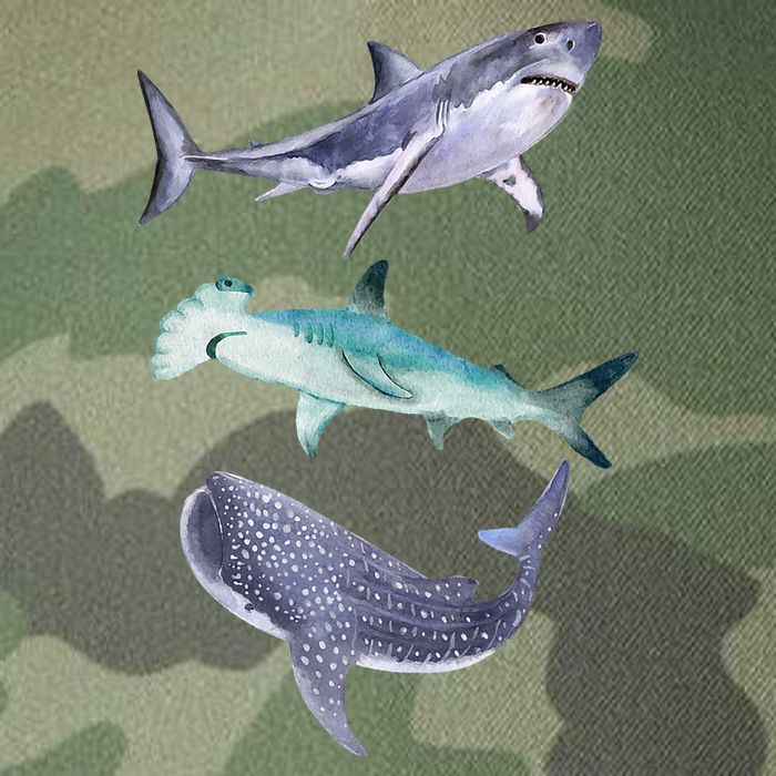 Shark Fans Great White Hammerhead And Whale Shark Lover Legacy Tie Dye Trucker Hat
