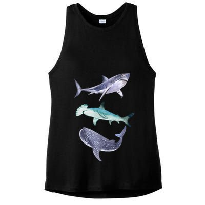Shark Fans Great White Hammerhead And Whale Shark Lover Ladies PosiCharge Tri-Blend Wicking Tank