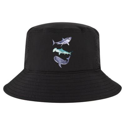 Shark Fans Great White Hammerhead And Whale Shark Lover Cool Comfort Performance Bucket Hat