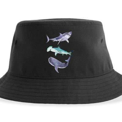 Shark Fans Great White Hammerhead And Whale Shark Lover Sustainable Bucket Hat