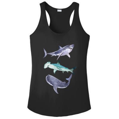 Shark Fans Great White Hammerhead And Whale Shark Lover Ladies PosiCharge Competitor Racerback Tank