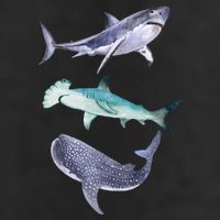 Shark Fans Great White Hammerhead And Whale Shark Lover Golf Towel