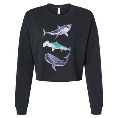 Shark Fans Great White Hammerhead And Whale Shark Lover Cropped Pullover Crew