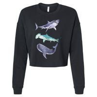 Shark Fans Great White Hammerhead And Whale Shark Lover Cropped Pullover Crew