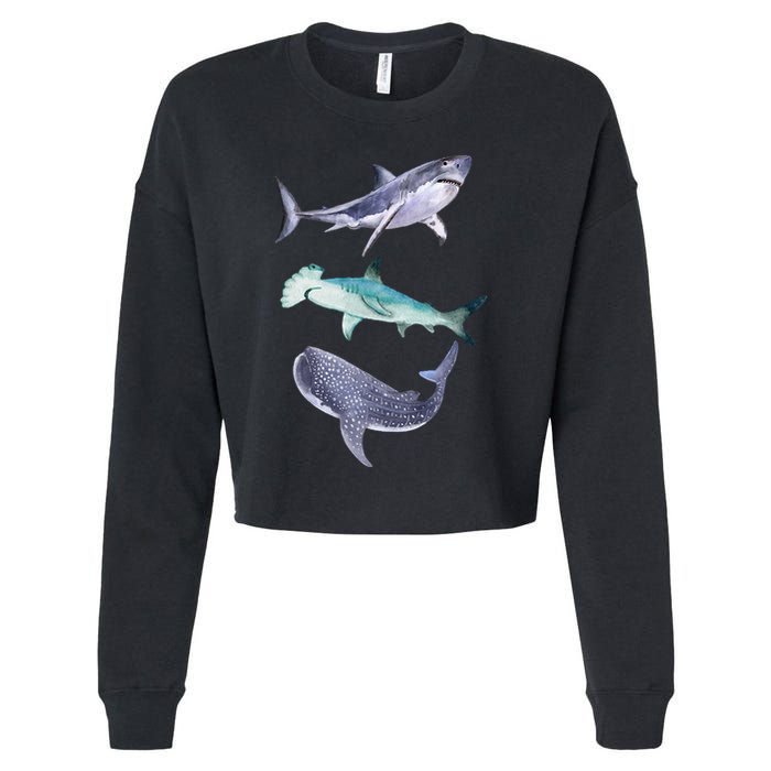 Shark Fans Great White Hammerhead And Whale Shark Lover Cropped Pullover Crew