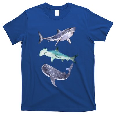 Shark Fans Great White Hammerhead And Whale Shark Lover T-Shirt