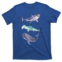 Shark Fans Great White Hammerhead And Whale Shark Lover T-Shirt