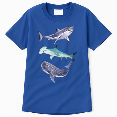 Shark Fans Great White Hammerhead And Whale Shark Lover Tall T-Shirt