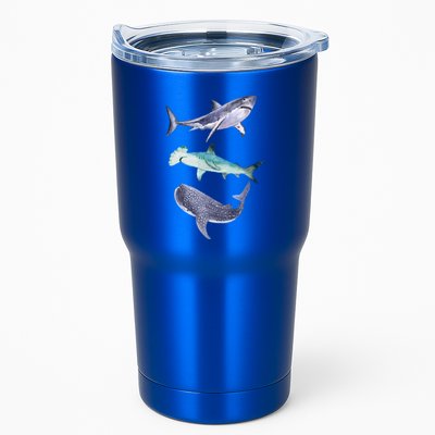 Shark Fans Great White Hammerhead And Whale Shark Lover Tumbler