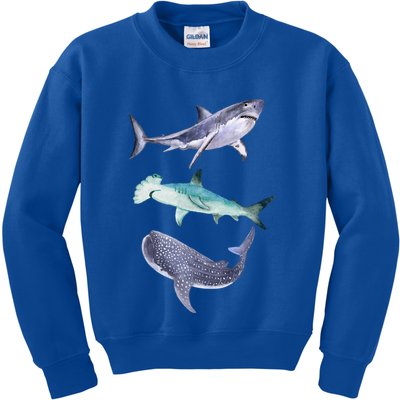Shark Fans Great White Hammerhead And Whale Shark Lover Kids Sweatshirt