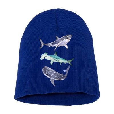 Shark Fans Great White Hammerhead And Whale Shark Lover Short Acrylic Beanie