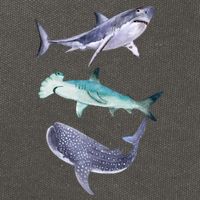 Shark Fans Great White Hammerhead And Whale Shark Lover Cotton Canvas Backpack