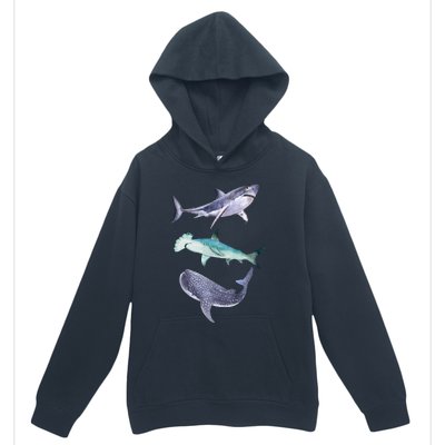 Shark Fans Great White Hammerhead And Whale Shark Lover Urban Pullover Hoodie